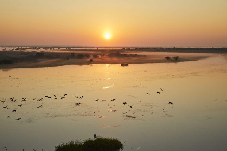 jili pagcor online casino